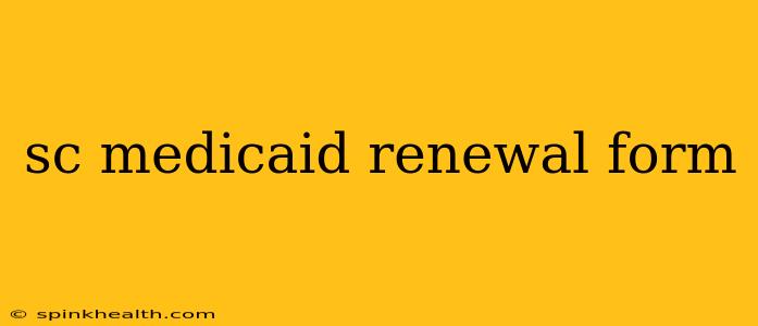 sc medicaid renewal form