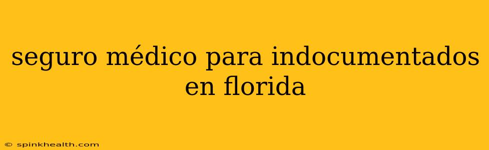 seguro médico para indocumentados en florida