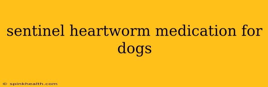 sentinel heartworm medication for dogs