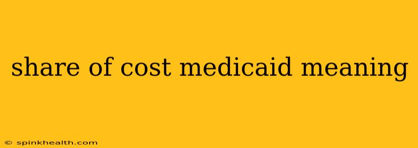 share of cost medicaid meaning