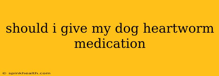should i give my dog heartworm medication