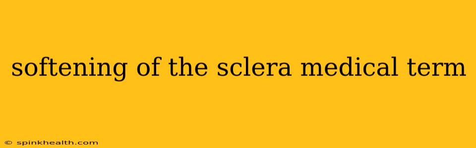 softening of the sclera medical term
