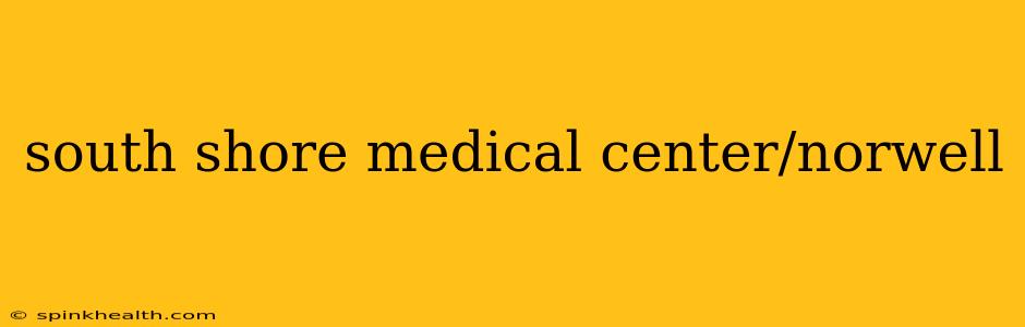 south shore medical center/norwell