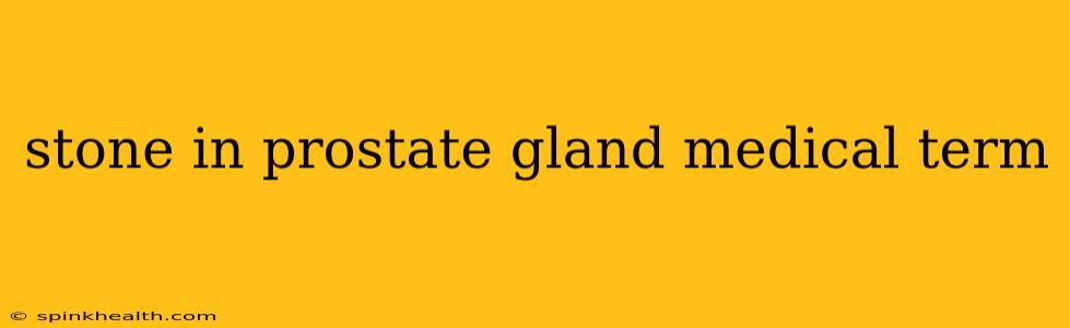 stone in prostate gland medical term