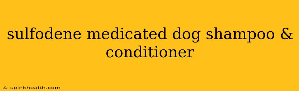 sulfodene medicated dog shampoo & conditioner