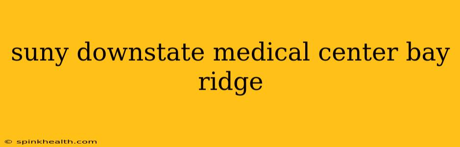 suny downstate medical center bay ridge