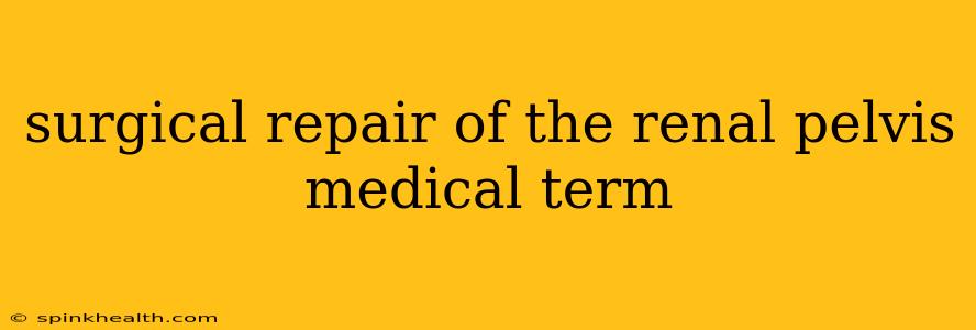 surgical repair of the renal pelvis medical term