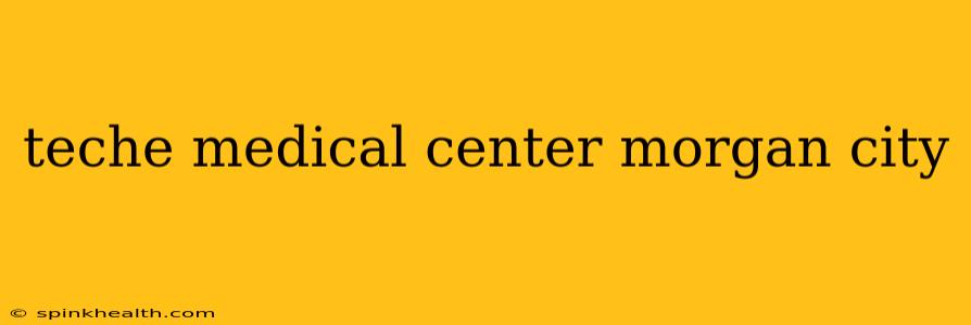 teche medical center morgan city