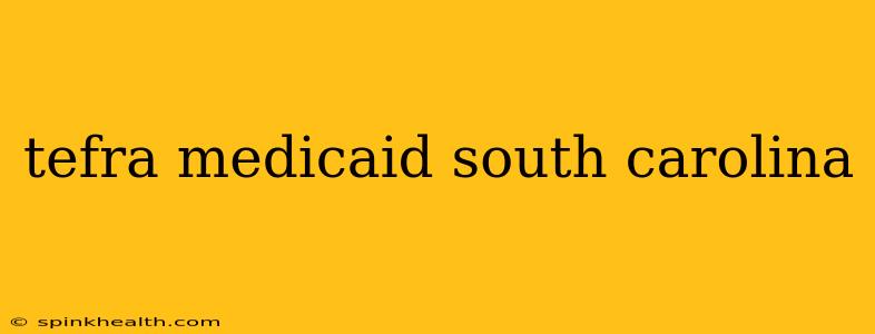 tefra medicaid south carolina