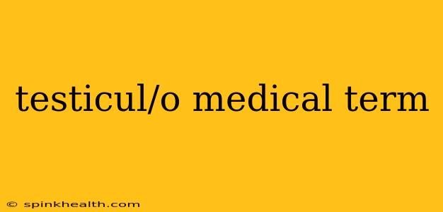 testicul/o medical term