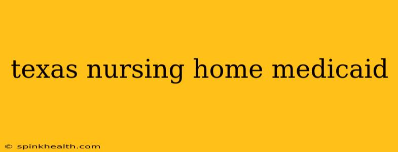 texas nursing home medicaid
