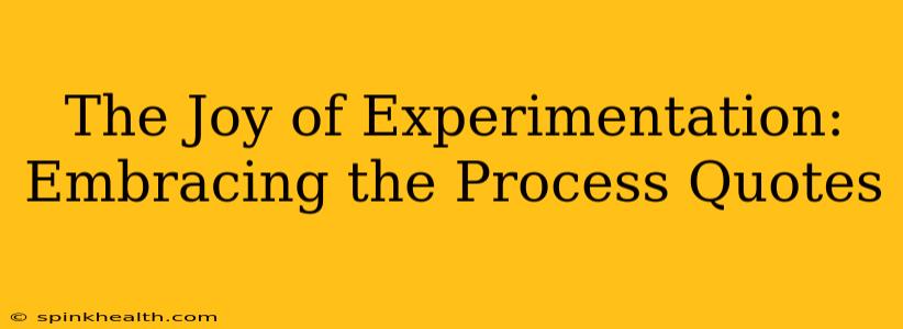 The Joy of Experimentation: Embracing the Process Quotes