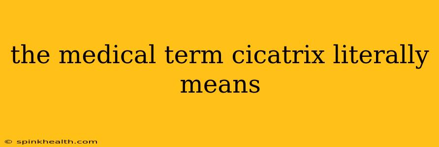 the medical term cicatrix literally means