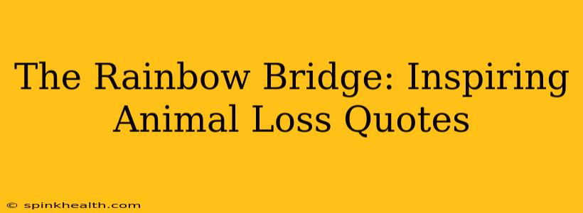 The Rainbow Bridge: Inspiring Animal Loss Quotes