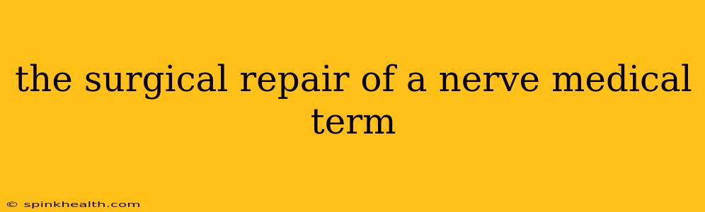 the surgical repair of a nerve medical term