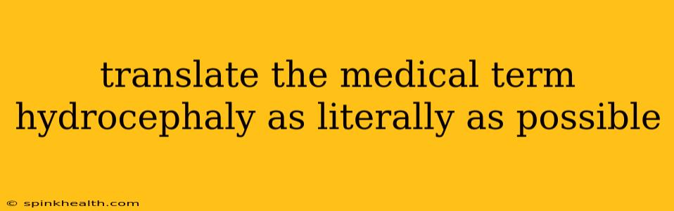 translate the medical term hydrocephaly as literally as possible
