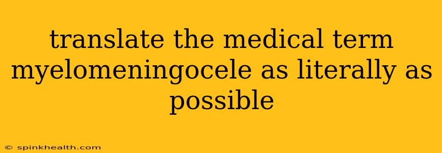 translate the medical term myelomeningocele as literally as possible