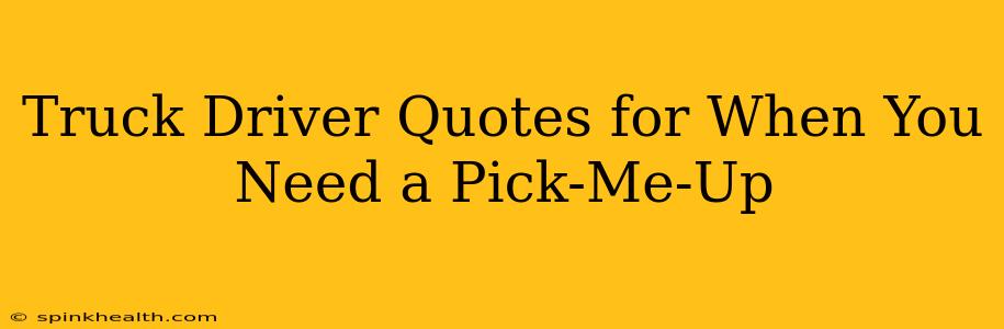Truck Driver Quotes for When You Need a Pick-Me-Up