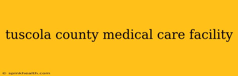 tuscola county medical care facility