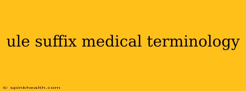 ule suffix medical terminology
