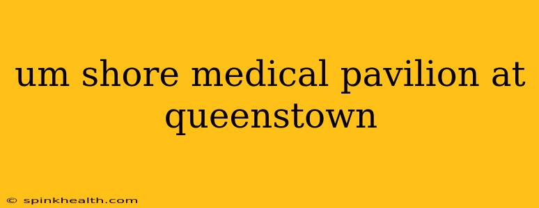 um shore medical pavilion at queenstown