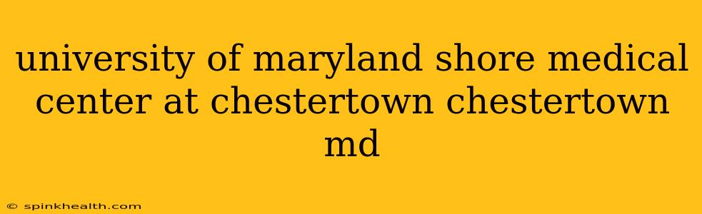 university of maryland shore medical center at chestertown chestertown md