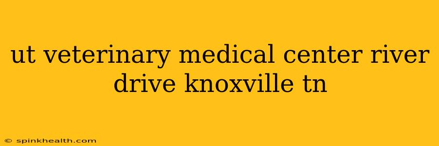 ut veterinary medical center river drive knoxville tn