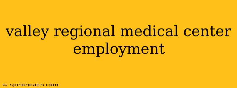 valley regional medical center employment