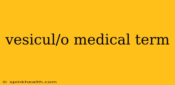vesicul/o medical term