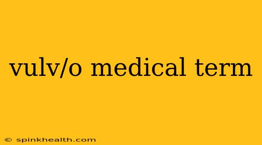 vulv/o medical term