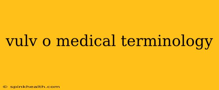 vulv o medical terminology