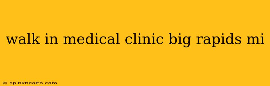 walk in medical clinic big rapids mi