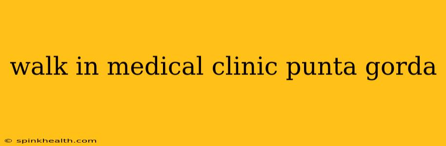 walk in medical clinic punta gorda