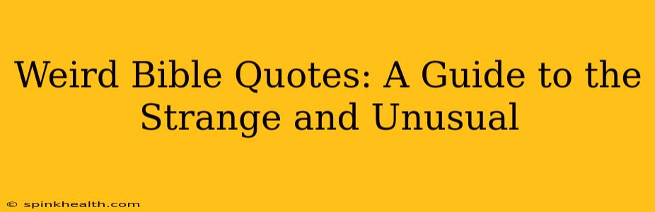 Weird Bible Quotes: A Guide to the Strange and Unusual