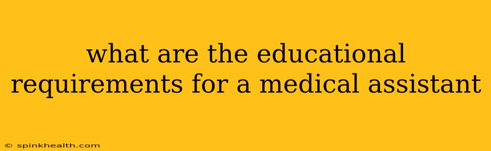 what are the educational requirements for a medical assistant