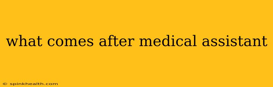 what comes after medical assistant