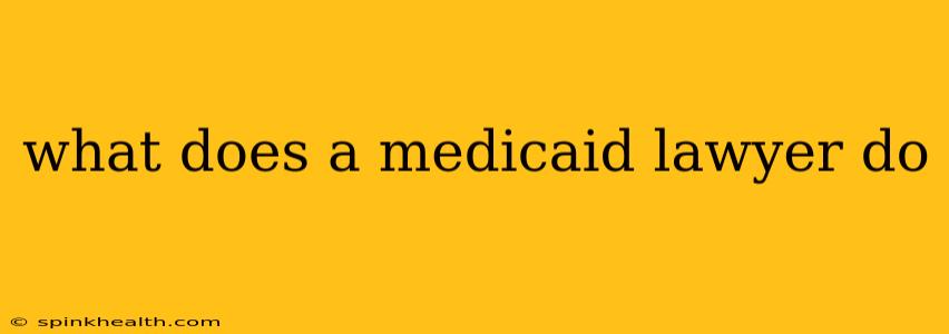 what does a medicaid lawyer do