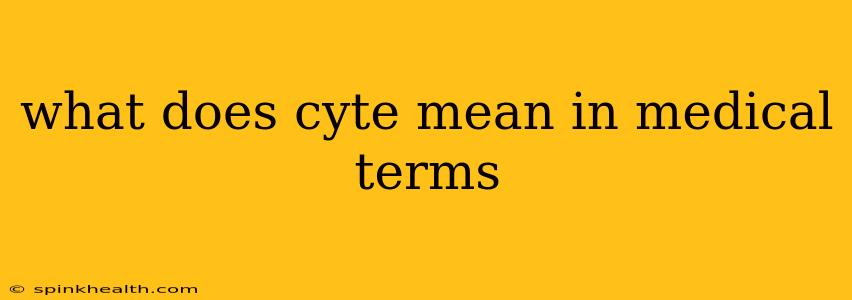 what does cyte mean in medical terms