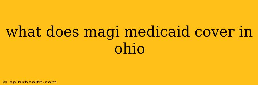 what does magi medicaid cover in ohio