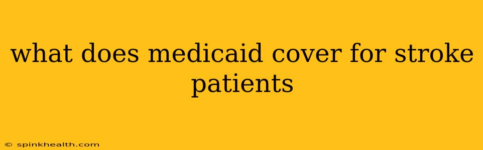 what does medicaid cover for stroke patients