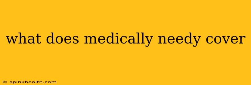 what does medically needy cover