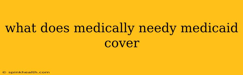 what does medically needy medicaid cover