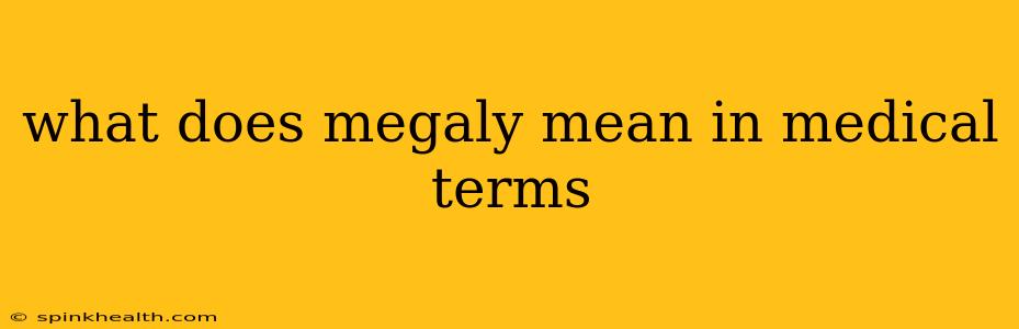 what does megaly mean in medical terms