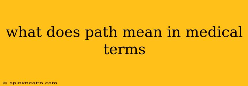 what does path mean in medical terms