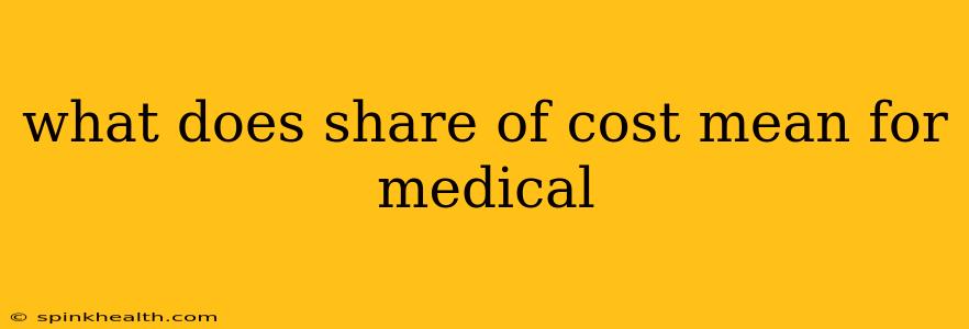 what does share of cost mean for medical