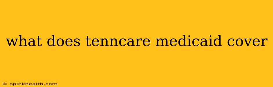 what does tenncare medicaid cover