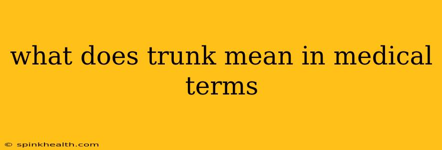 what does trunk mean in medical terms