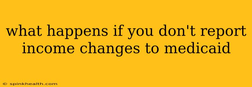 what happens if you don't report income changes to medicaid
