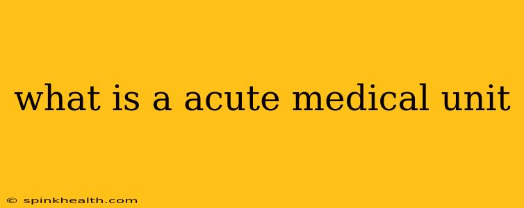 what is a acute medical unit