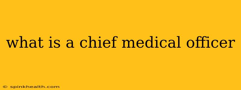 what is a chief medical officer